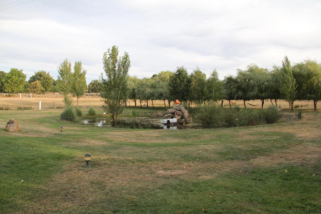 Bed and Breakfast O Pelicano Alfaiates Екстер'єр фото